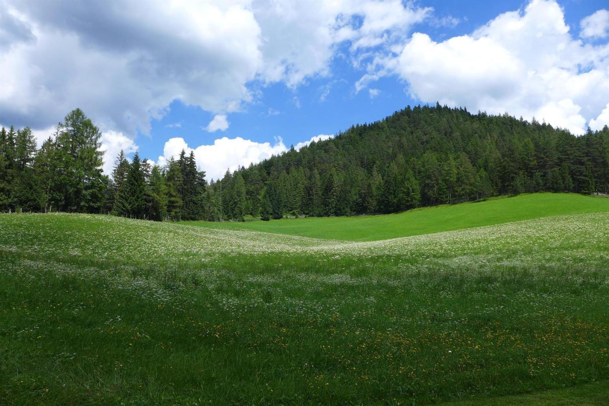 Bauernhaus Durrahof Steinberg am Rofan Екстер'єр фото